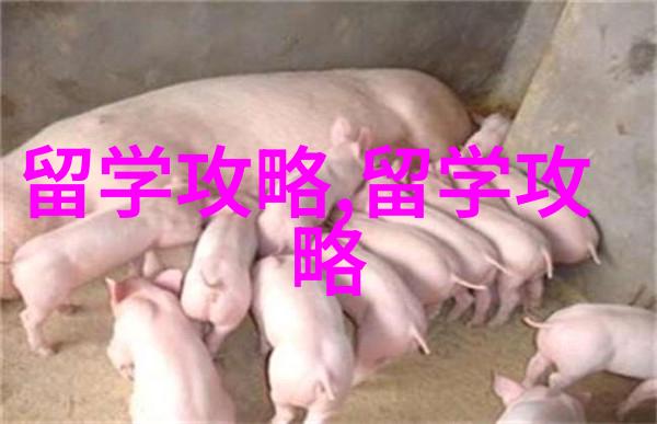 新加坡留学之人工智能前沿专业推荐