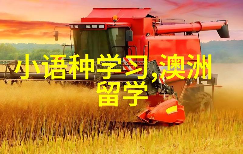 香港高校2025入学更新 申请1月截止专业汇总
