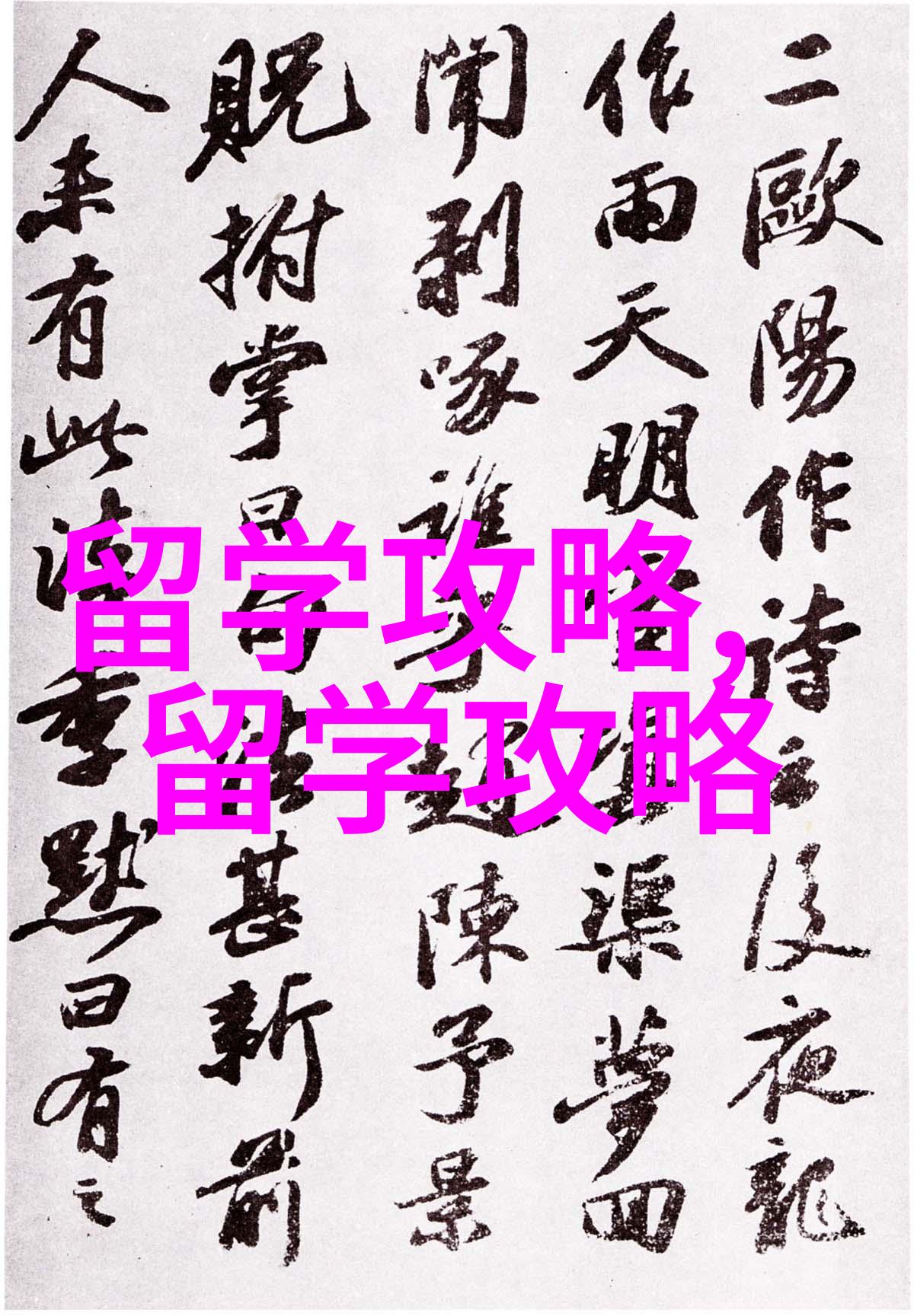 韩国留学过程中怎样做才能提升毕业后的竞争力