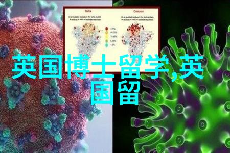 英国大学2025年1月入学更新