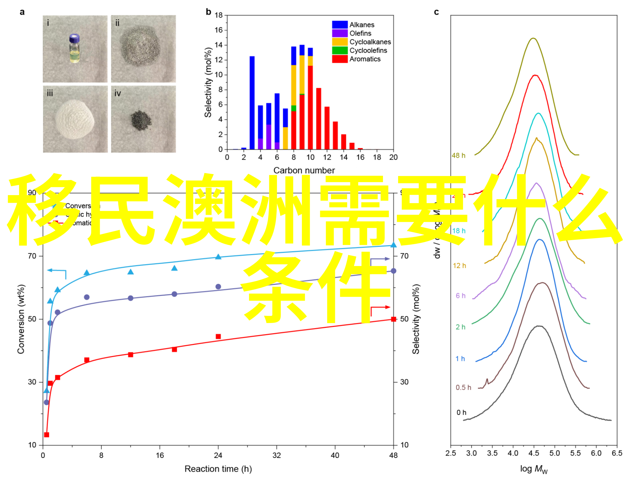 东安格利亚大学2025年新增课程春节许时间更新